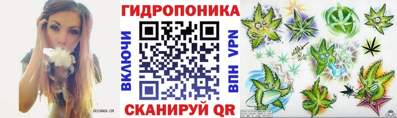 Каннабис ГИДРОПОН  купить наркоту  Печоры 